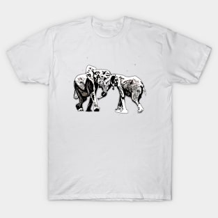 bull elephants  fighting T-Shirt